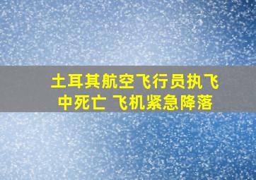 土耳其航空飞行员执飞中死亡 飞机紧急降落